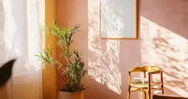 nettoyage toiture Berric-3