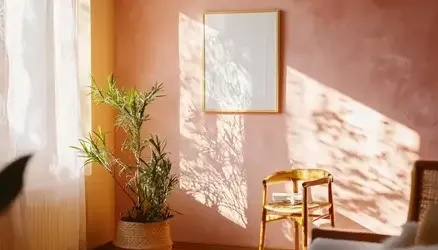 nettoyage toiture Muzillac-3