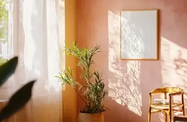 nettoyage toiture Noyal Muzillac-2