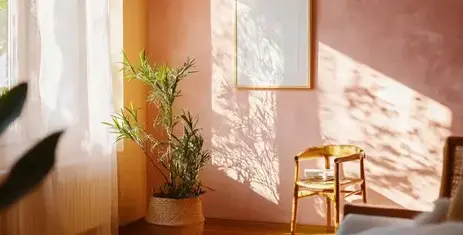 nettoyage toiture Péaule-4