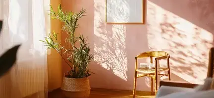 nettoyage toiture Theix Noyalo-1