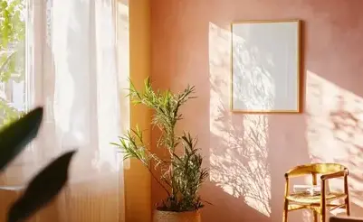 peintre extérieur Férel-5