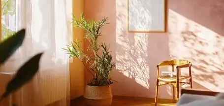 peintre extérieur Theix Noyalo-5
