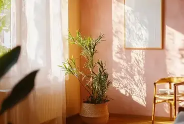 peintre intérieur Questembert-1