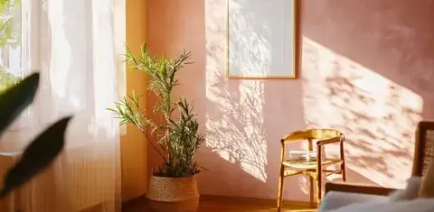 rénovation peinture Férel-1