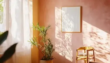 rénovation peinture Surzur-4